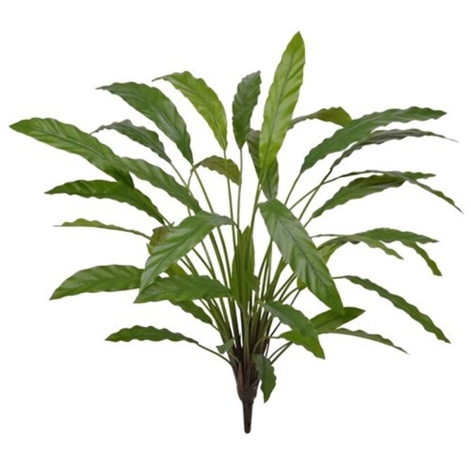 Kunstboeket Calathea 75 cm groen