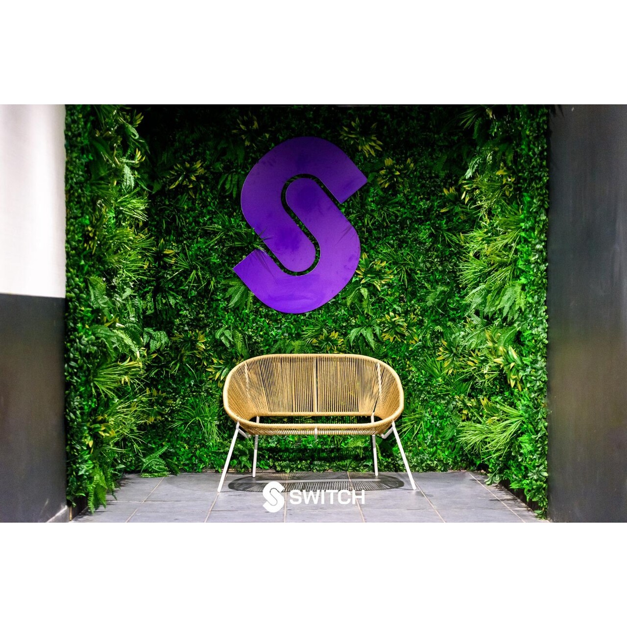 Groene wandpanelen, type Basic (1 m2)