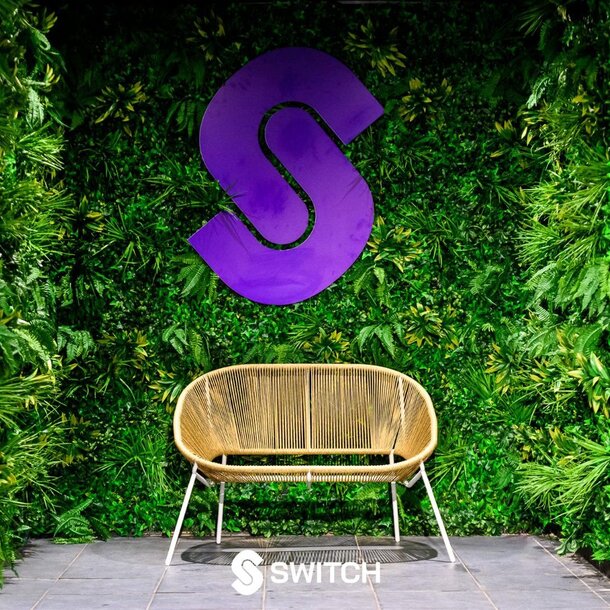 Groene wandpanelen, type Basic (1 m2)