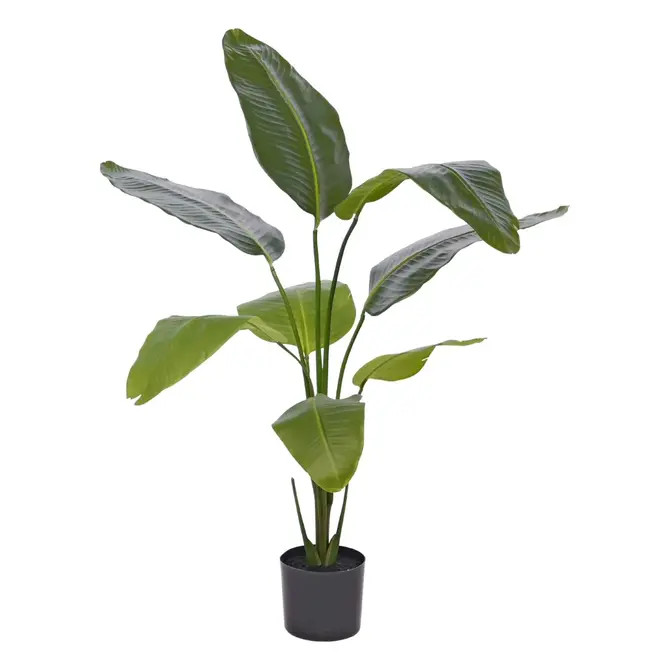 Kunst Strelizia 120 cm