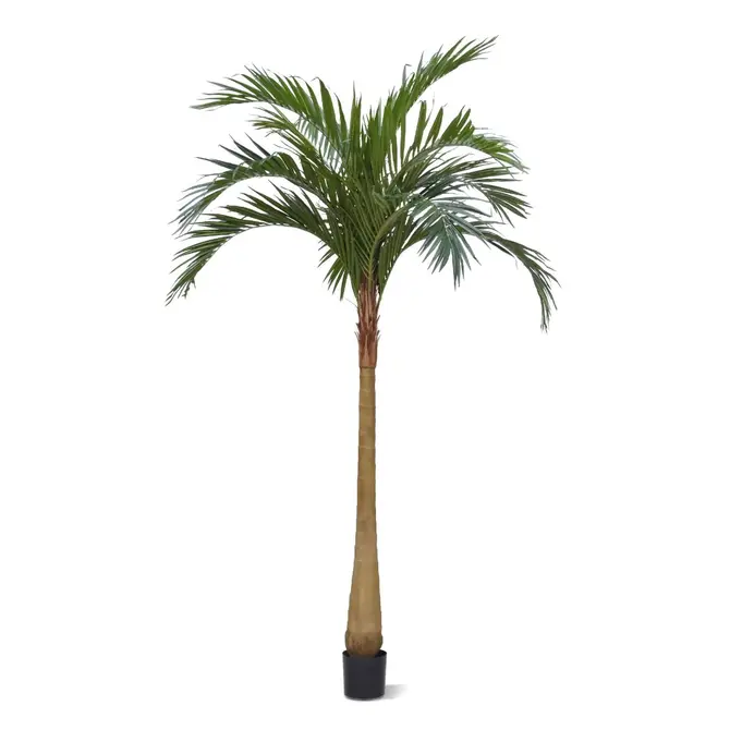 Coolplant Kunst Majesty kunstpalm 500 cm