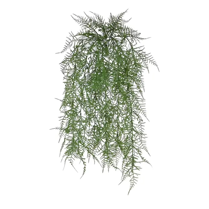 Kunst Asparagus hangvaren 60 cm