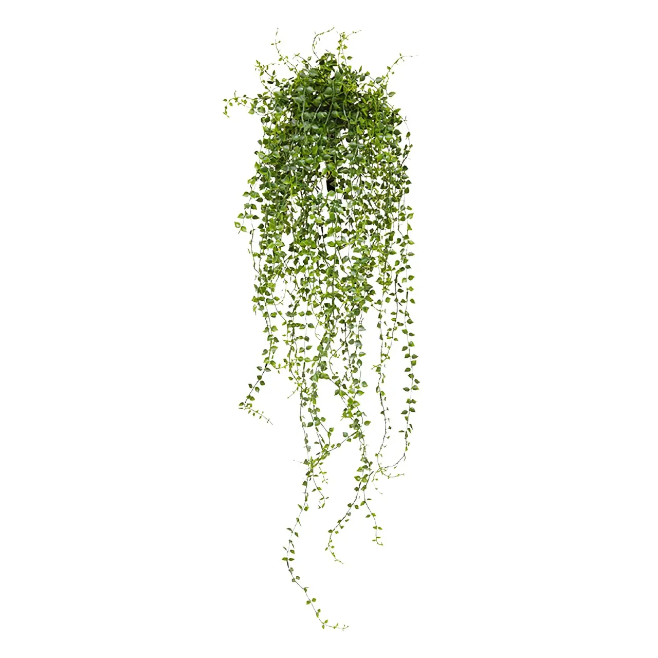 Kunst Callisia hangplant 70 cm UV