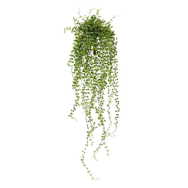 Kunst Callisia hangplant 70 cm UV