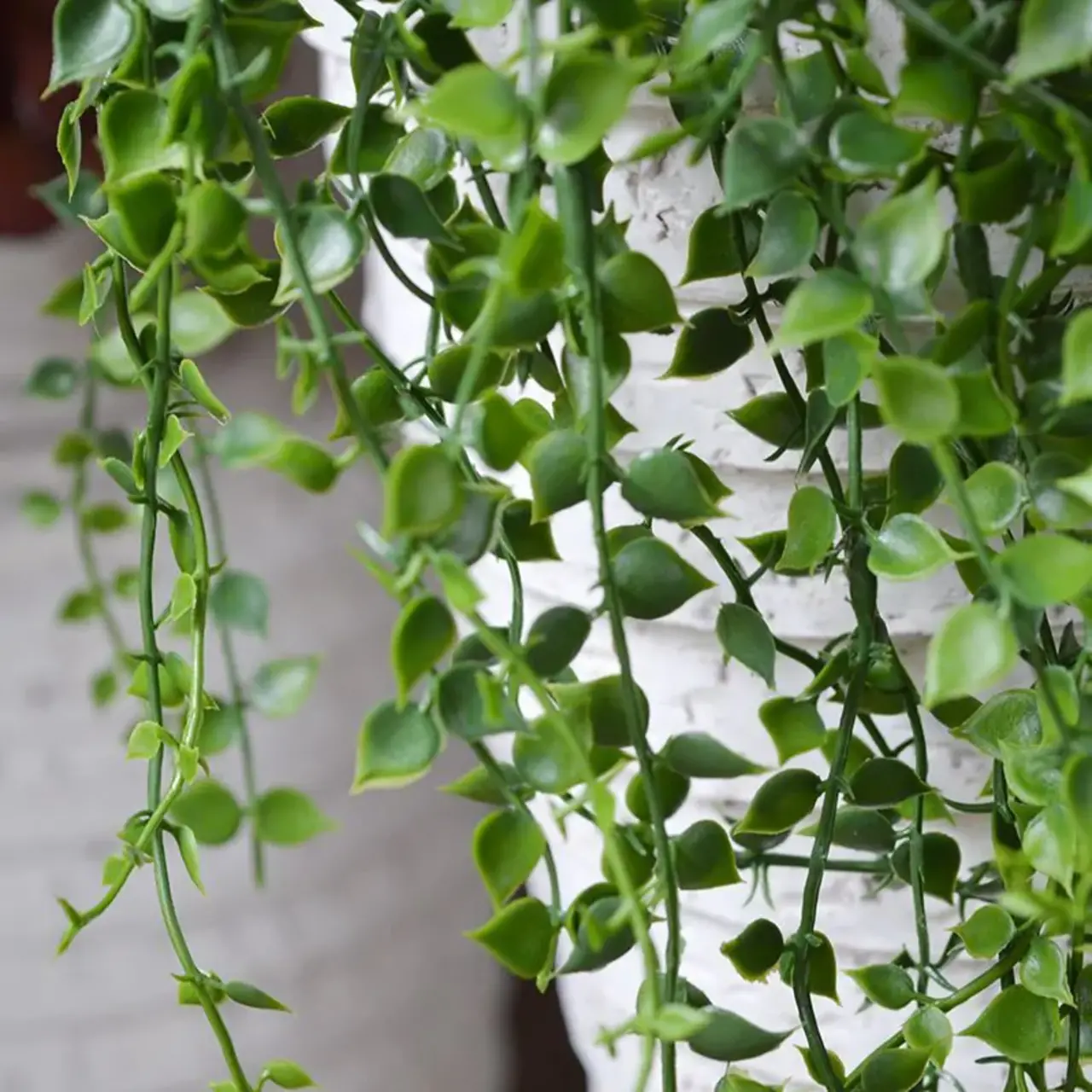 Kunst Callisia hangplant 70 cm UV
