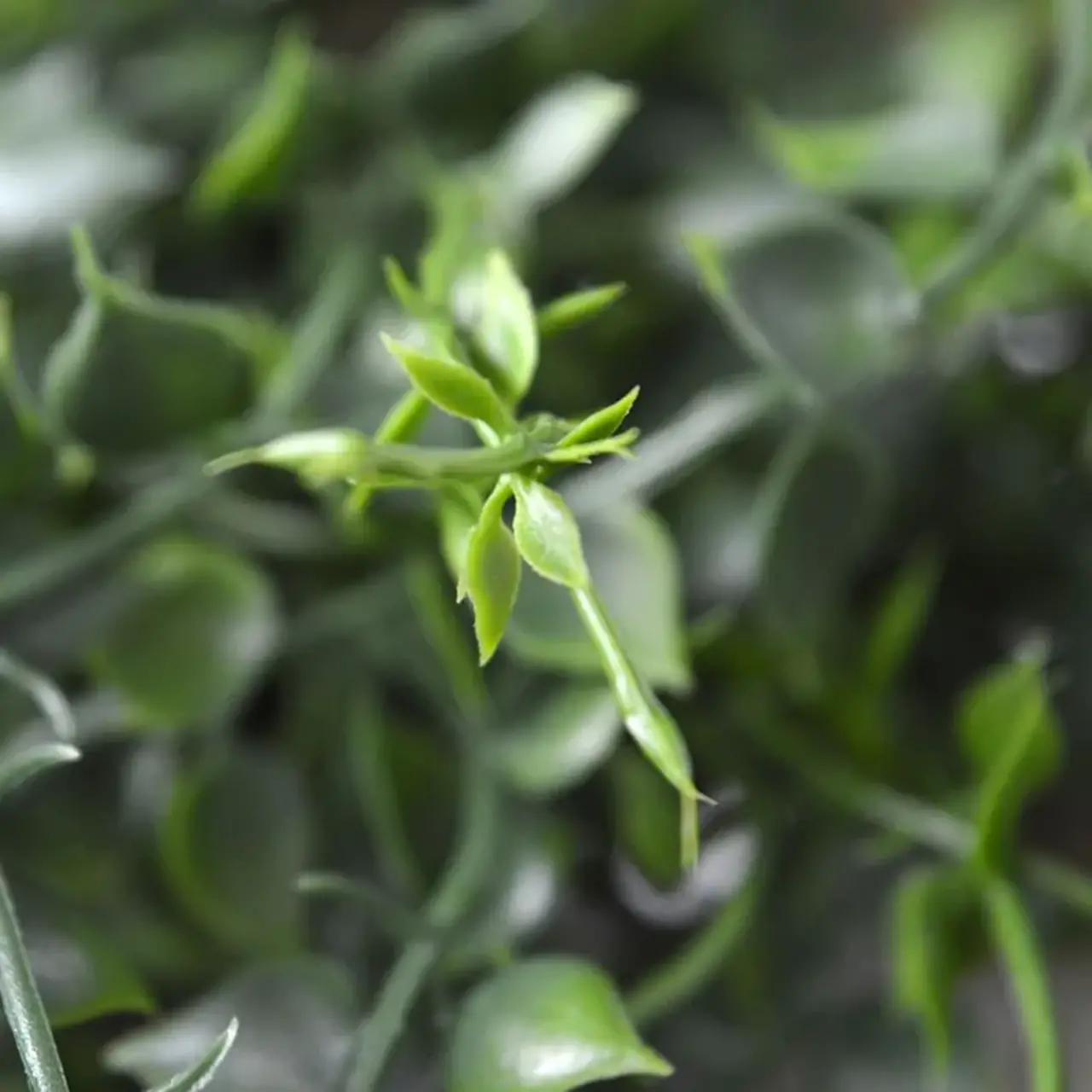 Kunst Callisia hangplant 70 cm UV