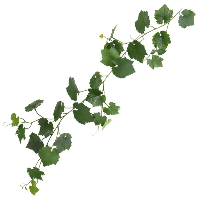 Kunst Druif Guirlande 110 cm Groen