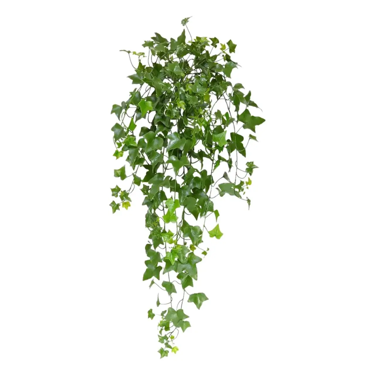 Kunst Hedera Hangplant 80 cm UV