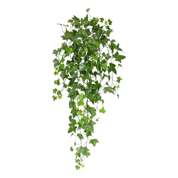 Kunst Hedera Hangplant 80 cm UV