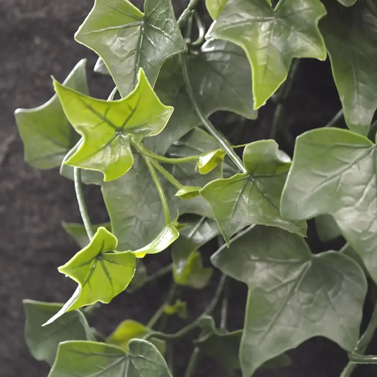 Kunst Hedera Hangplant 80 cm UV