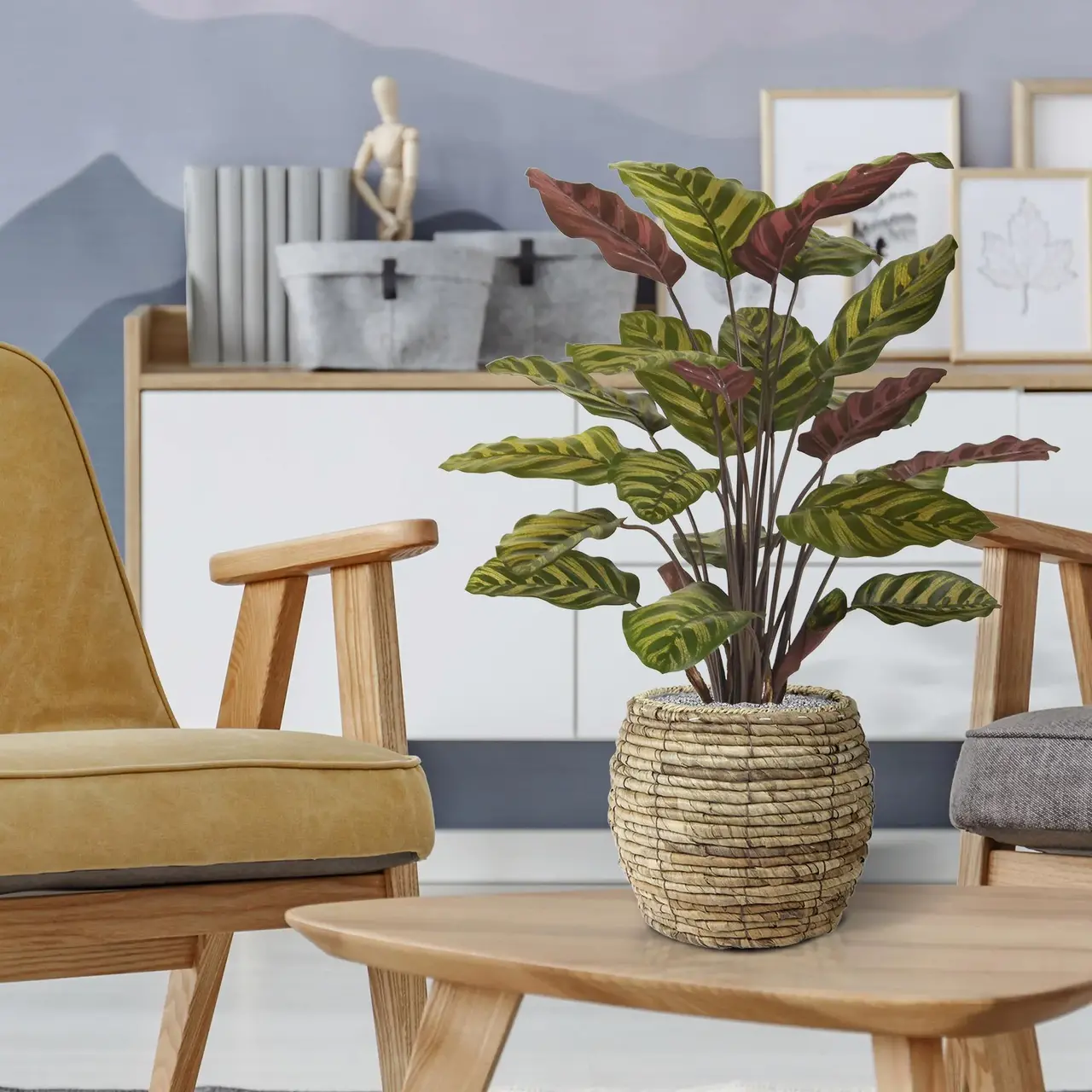 Kunst Calathea Makoyana rood 60 cm