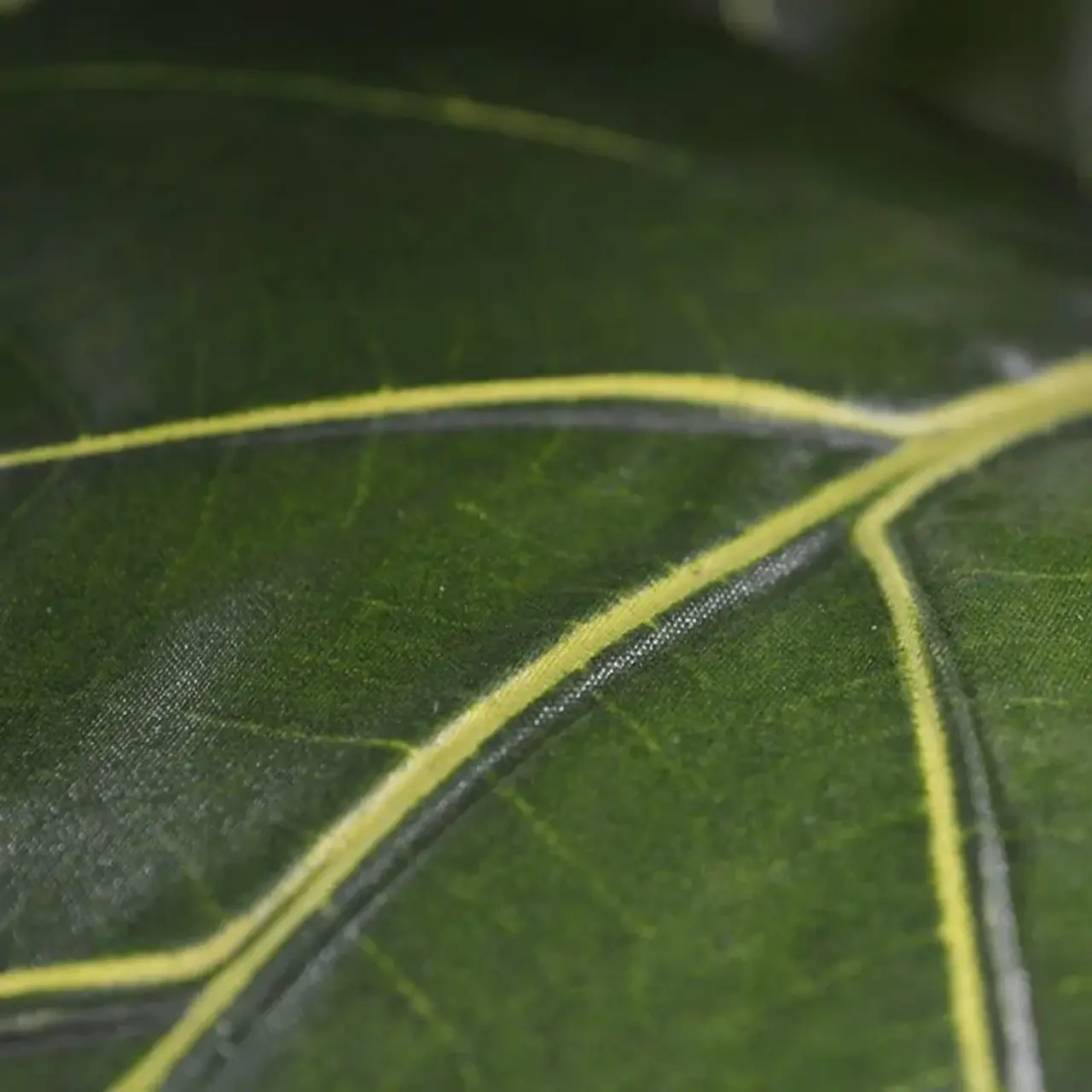 Kunst Ficus Lyrata De Luxe 170 cm