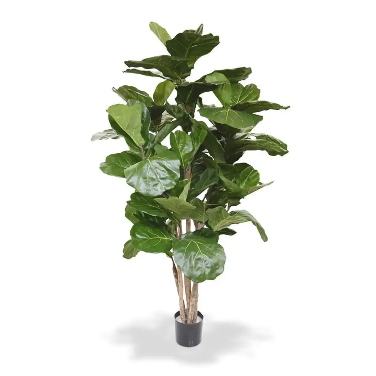 Kunst Ficus Lyrata De Luxe 170 cm