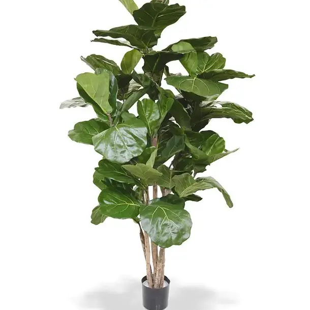 Kunst Ficus Lyrata De Luxe 170 cm