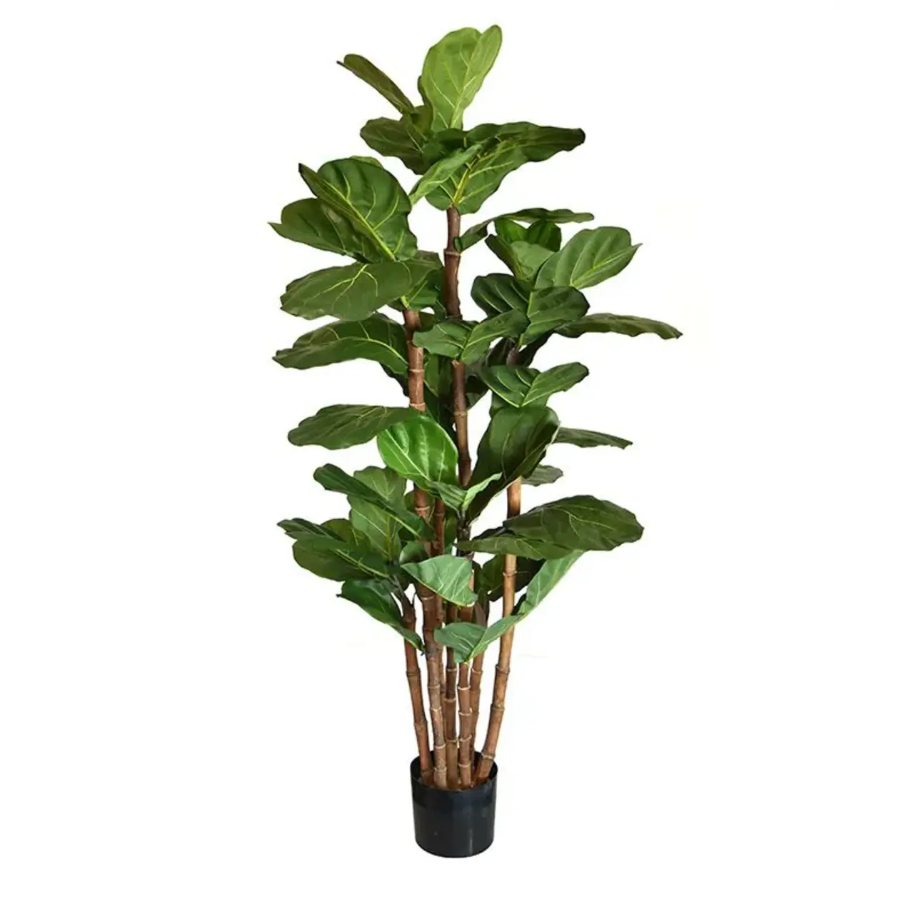 Kunst Lyrata Deluxe 165 cm