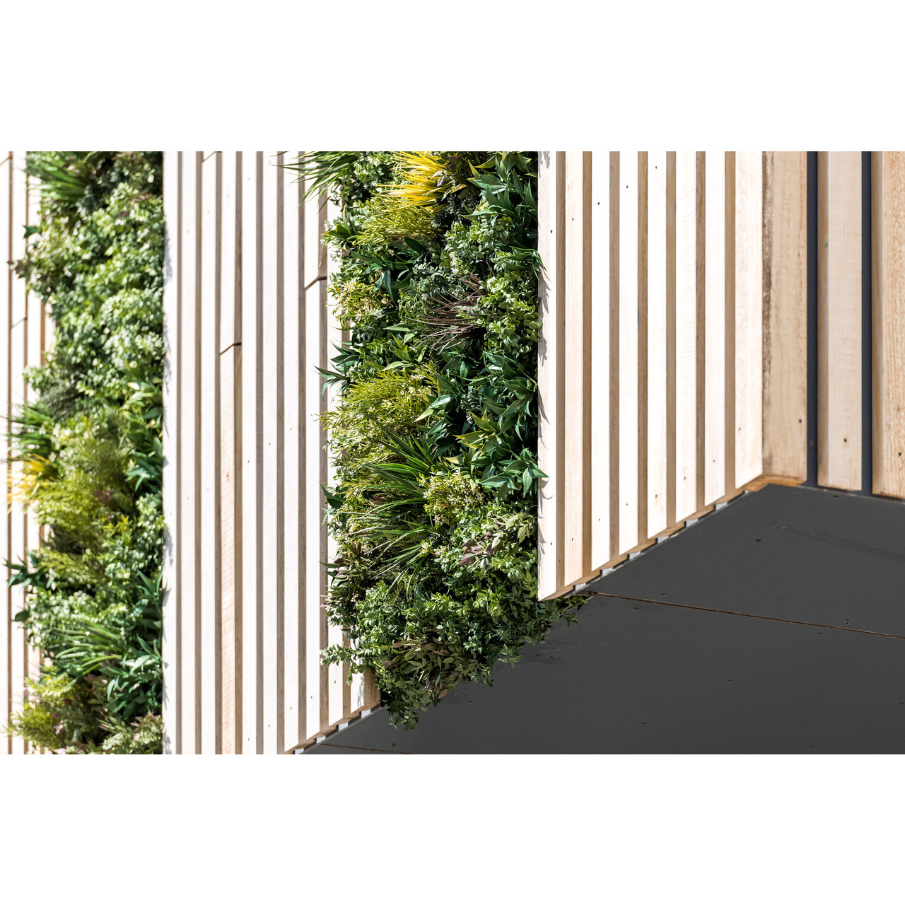 CoolPlantWall® (90 x 90 cm)