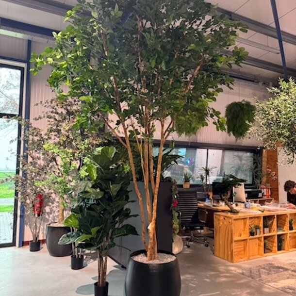 Beuken kunstboom 360cm - FR