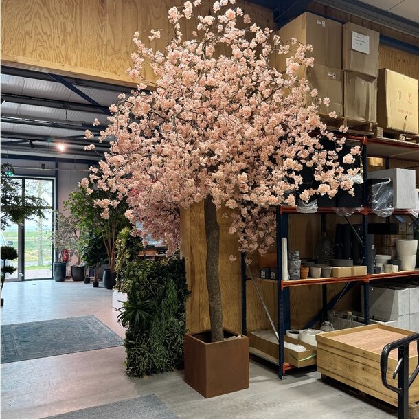 Bloesemboom Custom 400cm