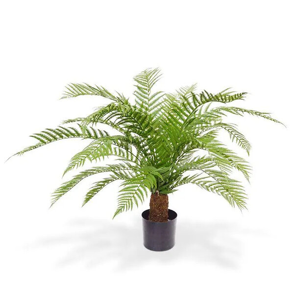 Alsophilla Varen kunstplant XXL 80 cm - UV