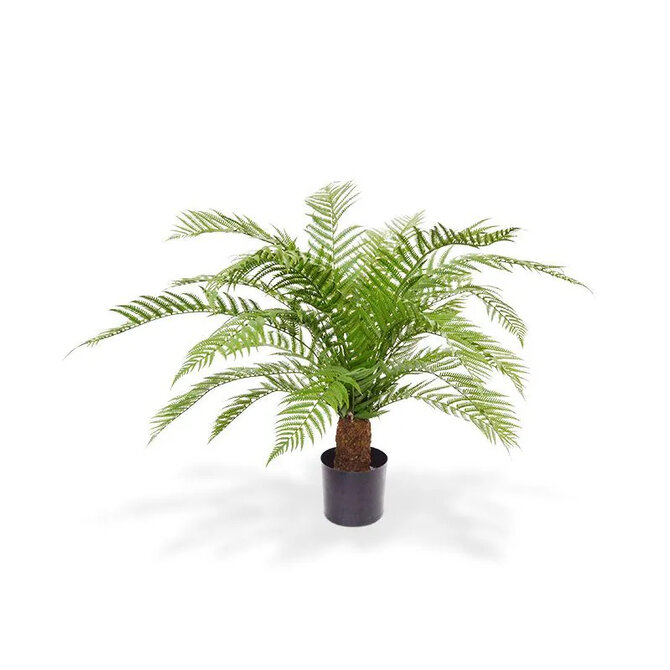 Alsophilla Varen kunstplant XXL 80 cm - UV Alsophilla Varen kunstplant XXL 80 cm - UV