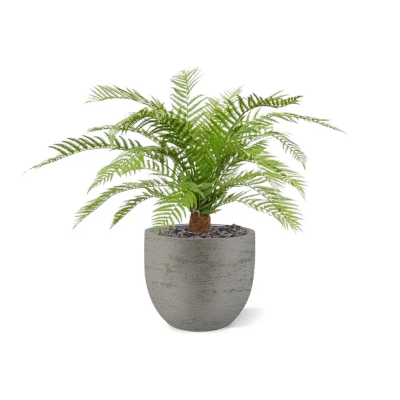 Kunst Alsophilla Varen plant 75 cm - UV