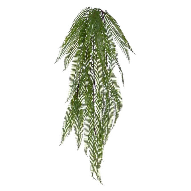 Coolplant Kunst Boston Hangvaren 70 cm