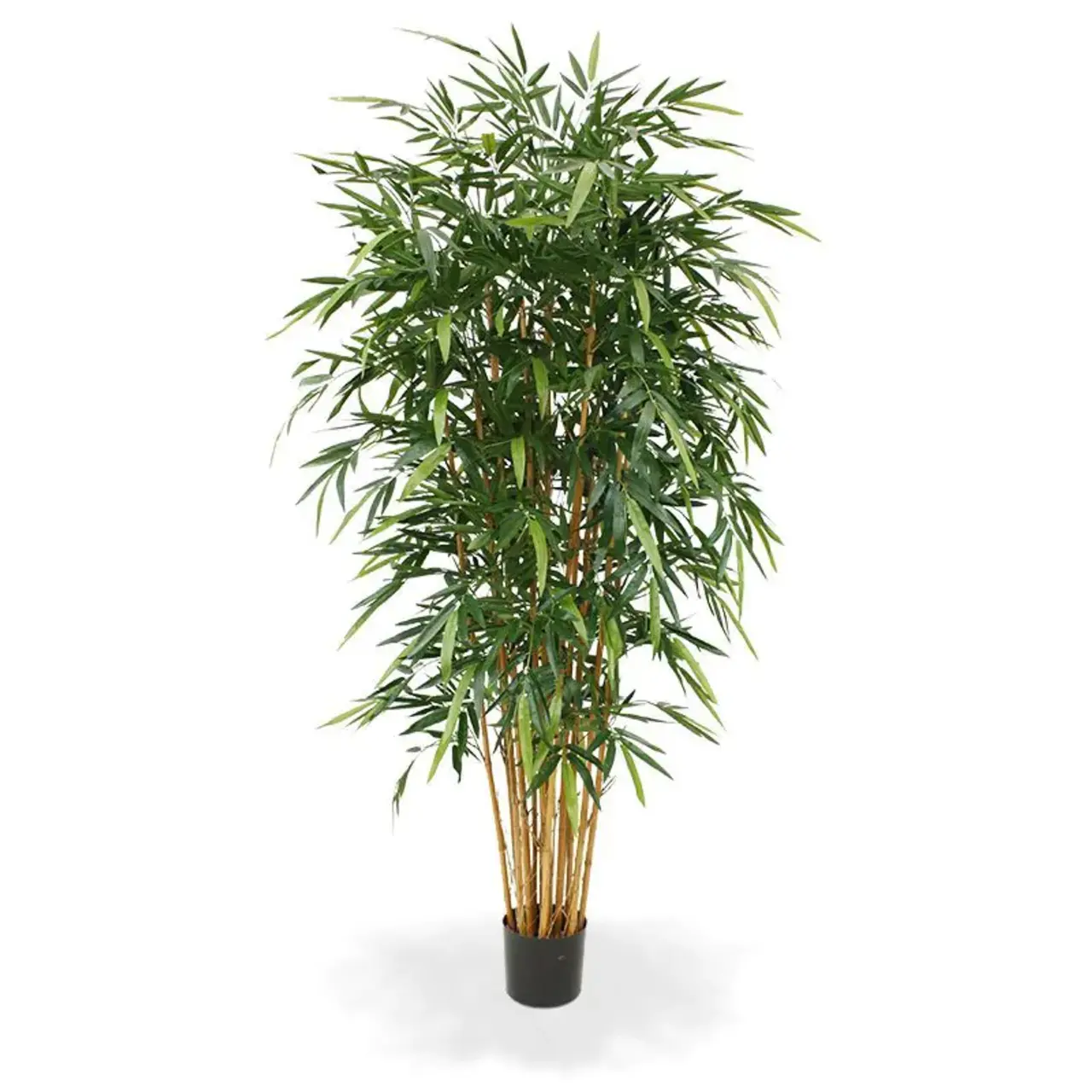 Kunst Bamboe deluxe 210 cm