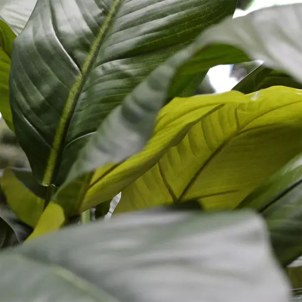 Kunstplant Spathiphyllum 80 cm