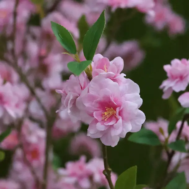 Kunst Bloesemboom 180 cm roze