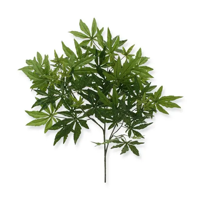Kunst Acer Maple tak x57 FR 65 cm