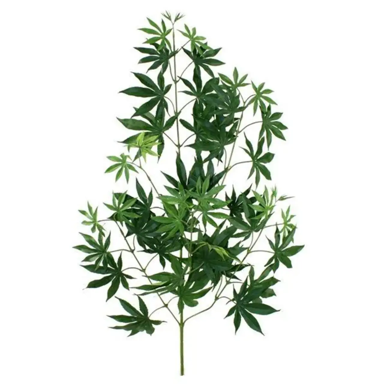 Kunst Acer Maple tak x44 FR 70 cm