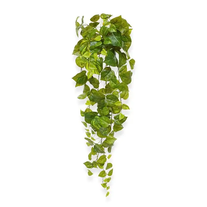 Kunst Pothos hangplant 90 cm bont