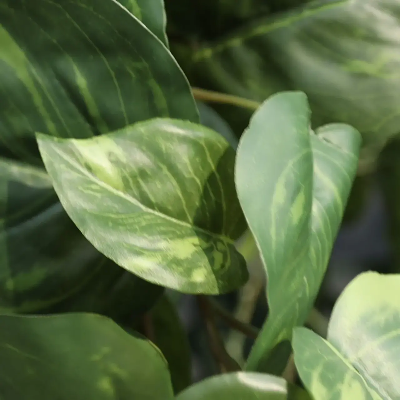 Kunst Pothos hangplant 90 cm bont