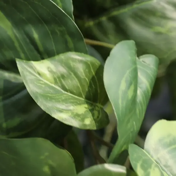 Kunst Pothos hangplant 90 cm bont