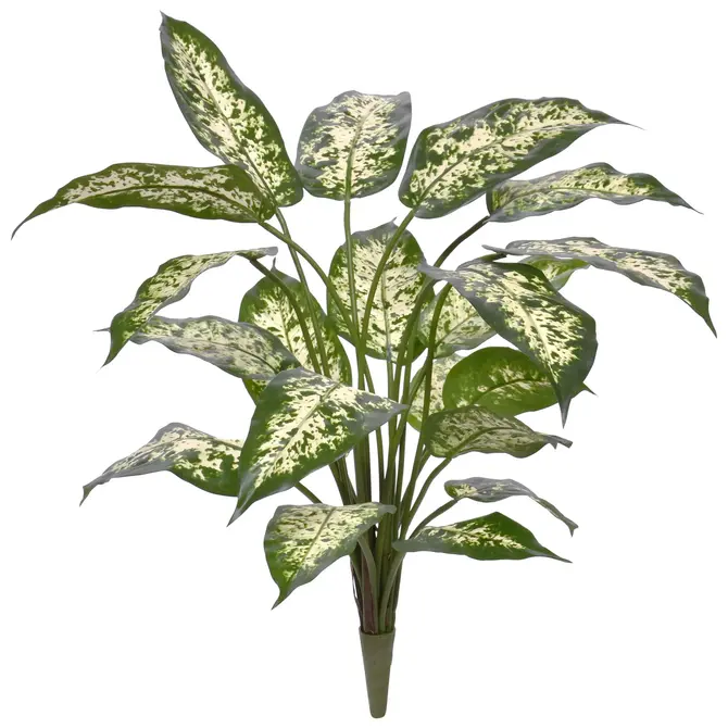 Kunst Dieffenbachia boeket deluxe 60 cm