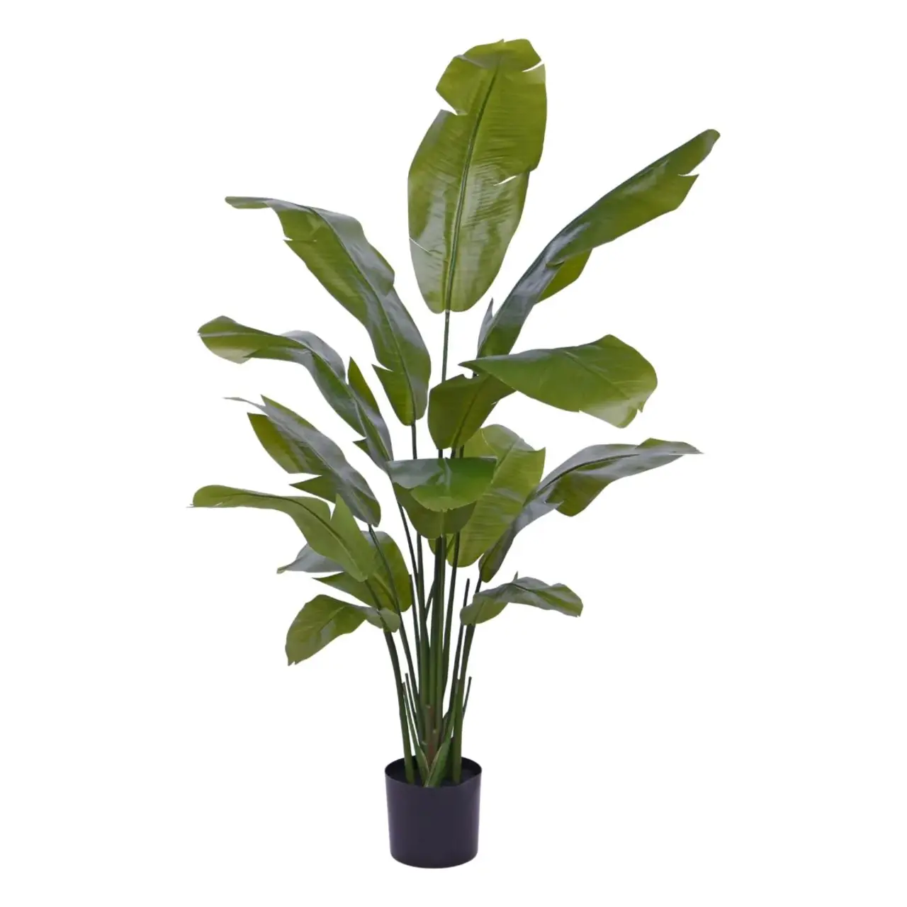 Kunst Strelizia 160 cm