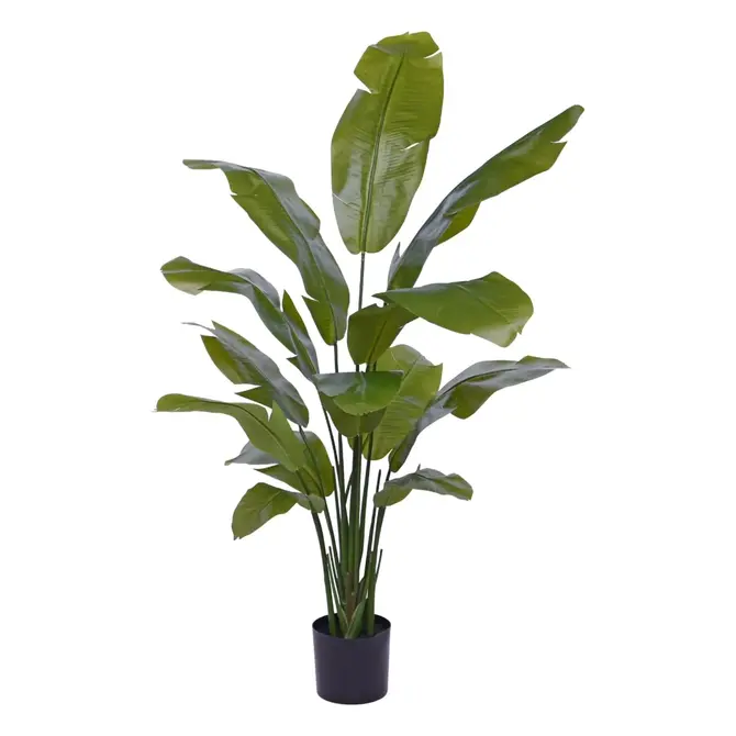 Kunst Strelizia 160 cm