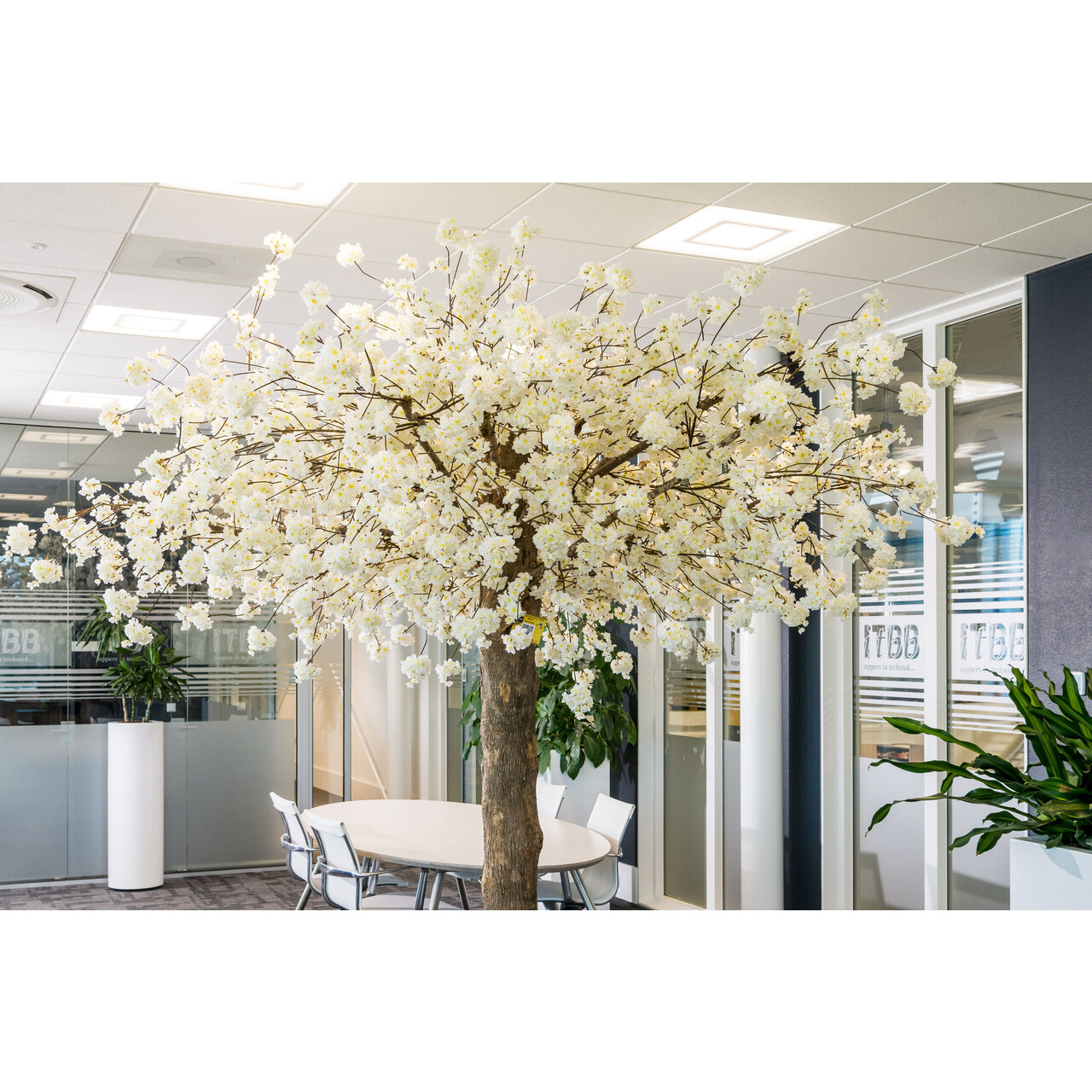 Bloesemboom op maat wit 300 cm – brandvertragend