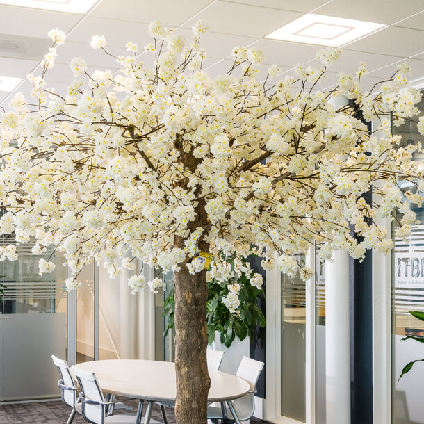 Bloesemboom op maat wit 300 cm – brandvertragend