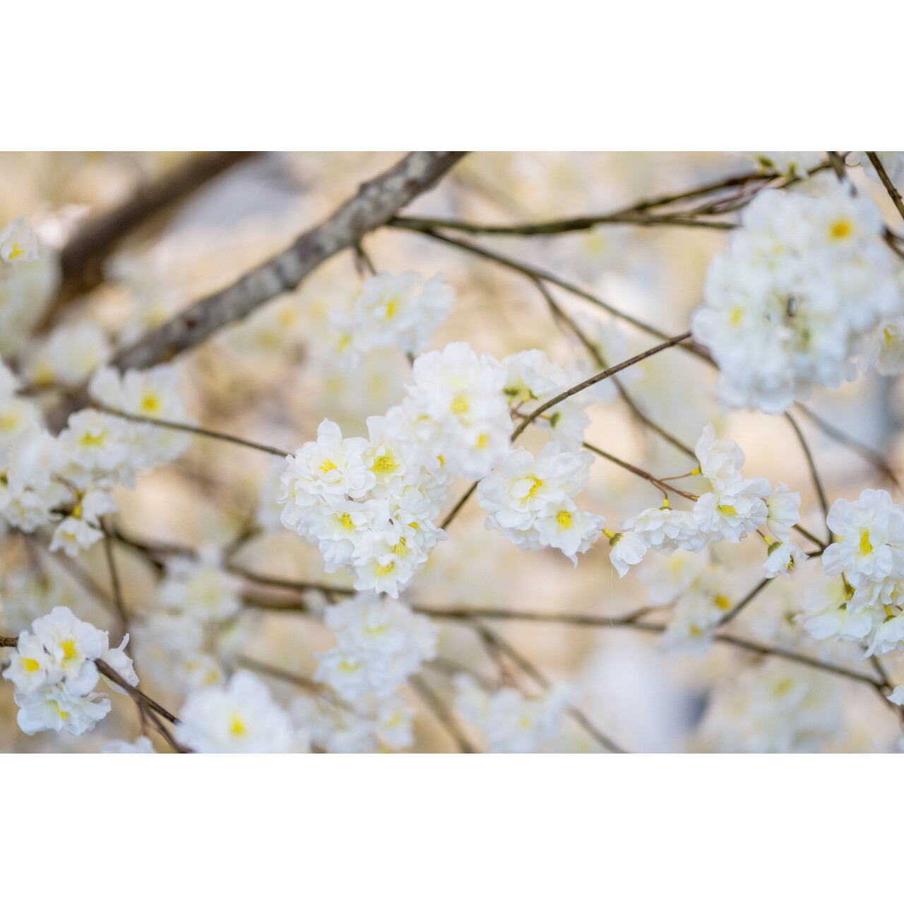 Bloesemboom op maat wit 300 cm – brandvertragend