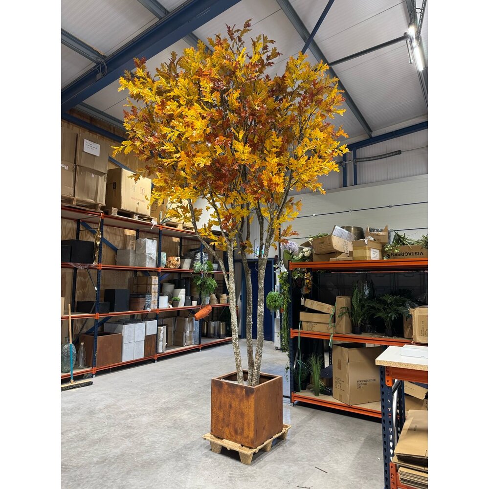 Coolplant Eikenboom op maat Indian Summer 450 cm