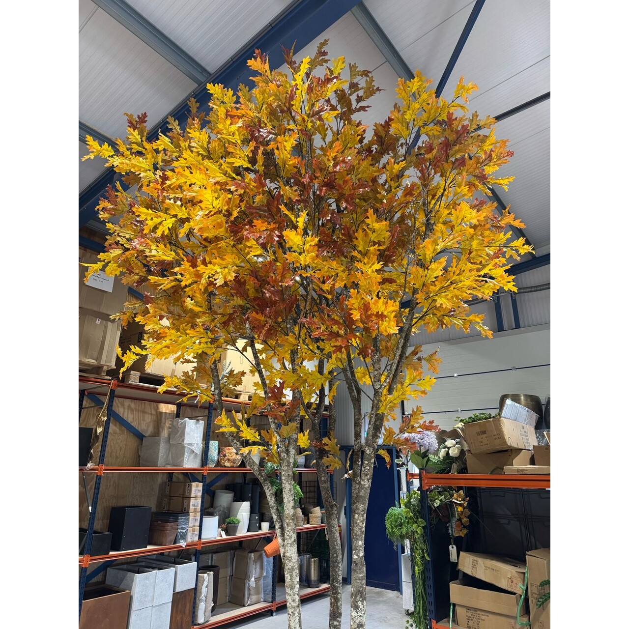 Eichenbaum nach Maß Indian Summer 450 cm