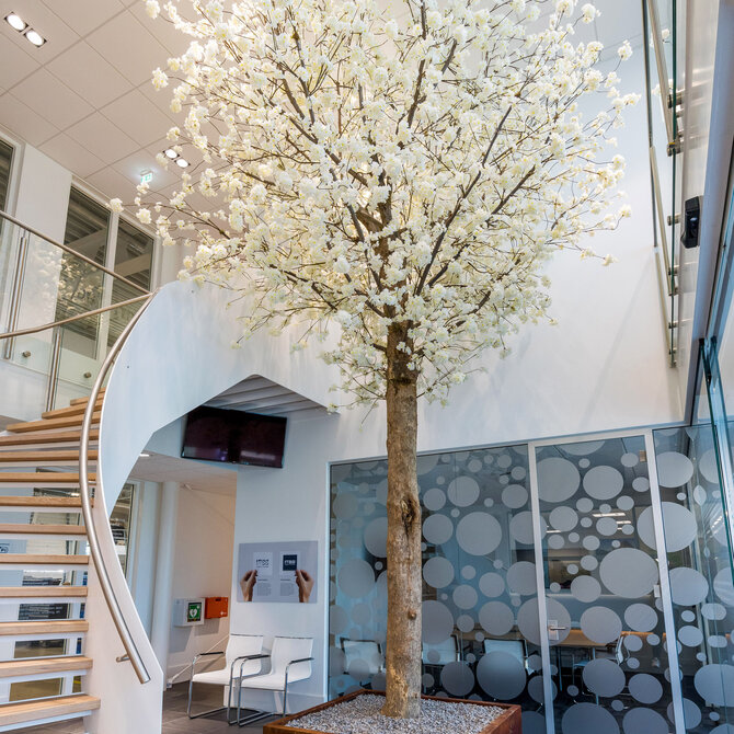Coolplant Bloesemboom op maat wit 650 cm – brandvertragend
