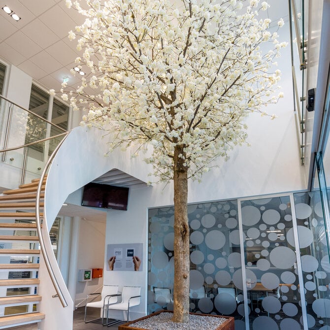 Coolplant Maßgefertigter Blütenbaum weiß 650 cm – schwer entflammbar