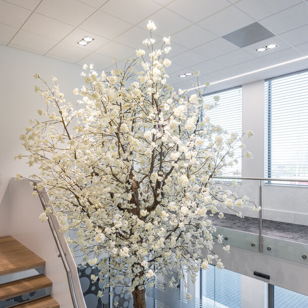 Bloesemboom op maat wit 650 cm – brandvertragend