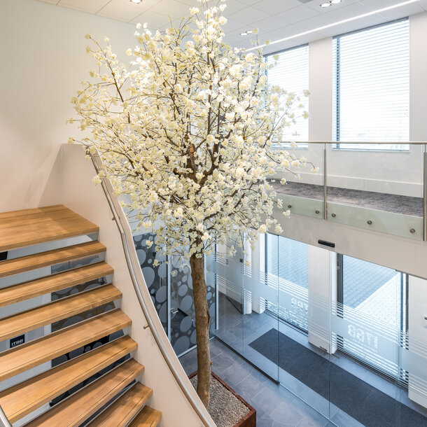 Bloesemboom op maat wit 650 cm – brandvertragend
