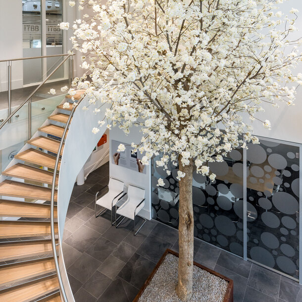 Bloesemboom op maat wit 650 cm – brandvertragend