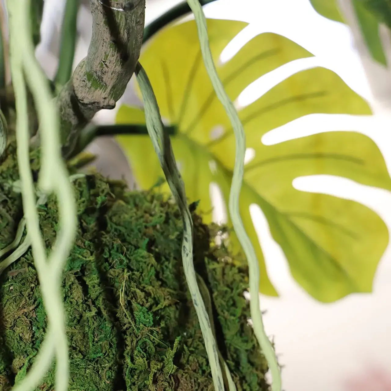 Kunst Hangplant Monstera op mosbol