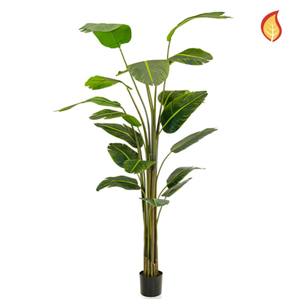 Kunst Strelitzia 240 cm FR