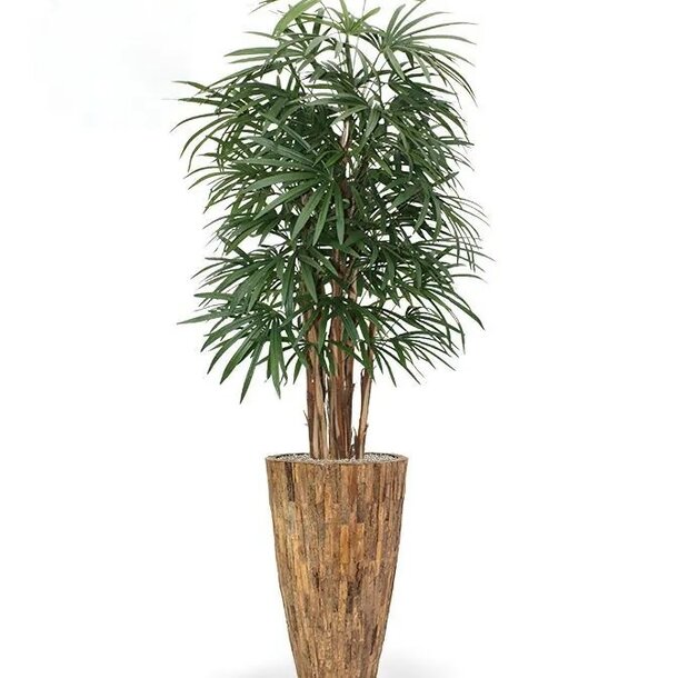 Raphis kunstpalm deluxe 160cm - FR - brandvertragend